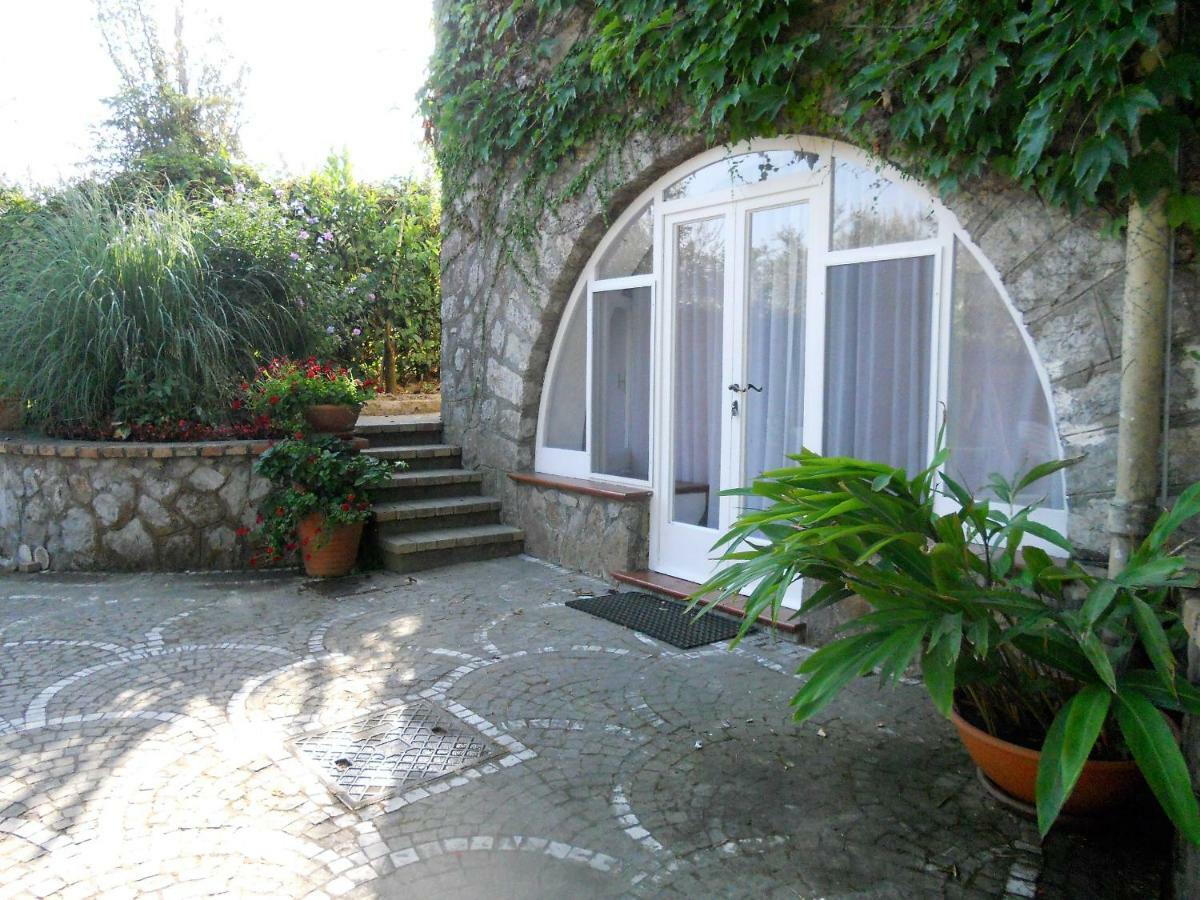 Villa Le Olivine ซอร์เรนโต ภายนอก รูปภาพ