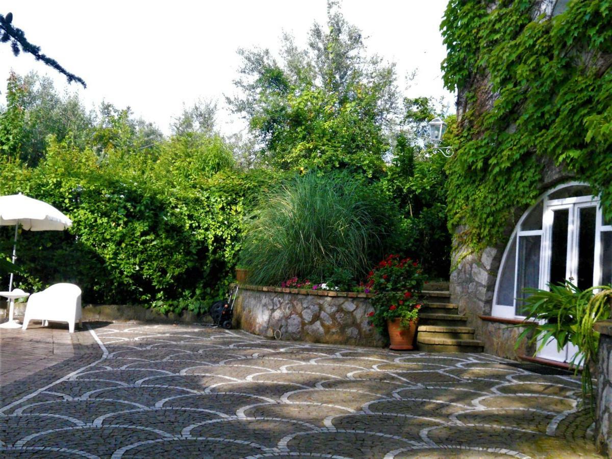 Villa Le Olivine ซอร์เรนโต ภายนอก รูปภาพ