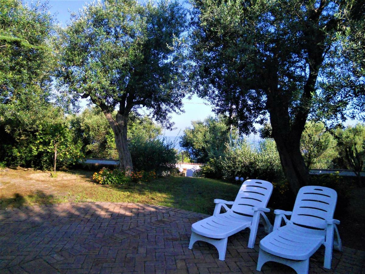 Villa Le Olivine ซอร์เรนโต ภายนอก รูปภาพ